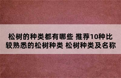 松树的种类都有哪些 推荐10种比较熟悉的松树种类 松树种类及名称